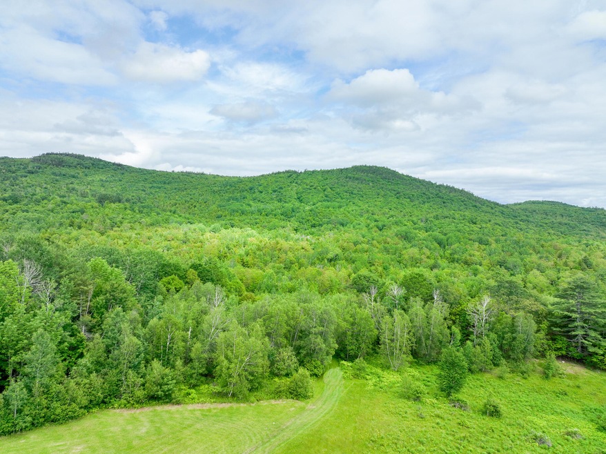 DJI_0954