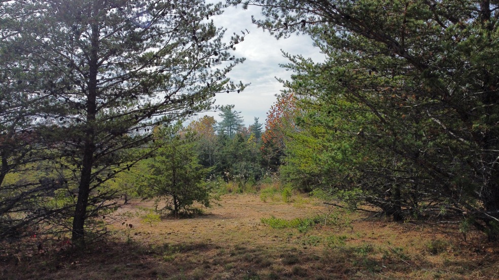 Sold $47,000 • Co-Listing Agent