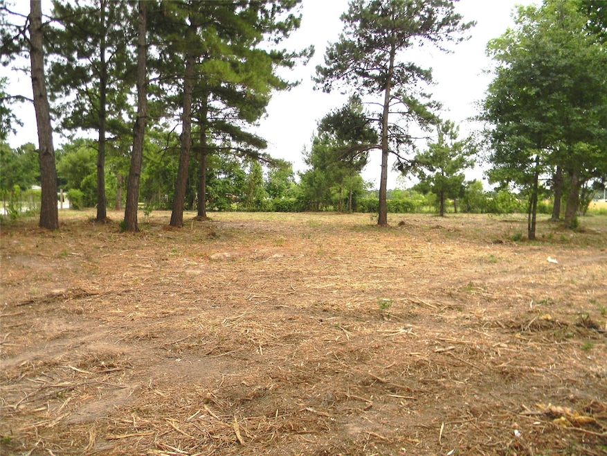 19827 Kimball Ln, Hockley, TX 77447 - photo 1