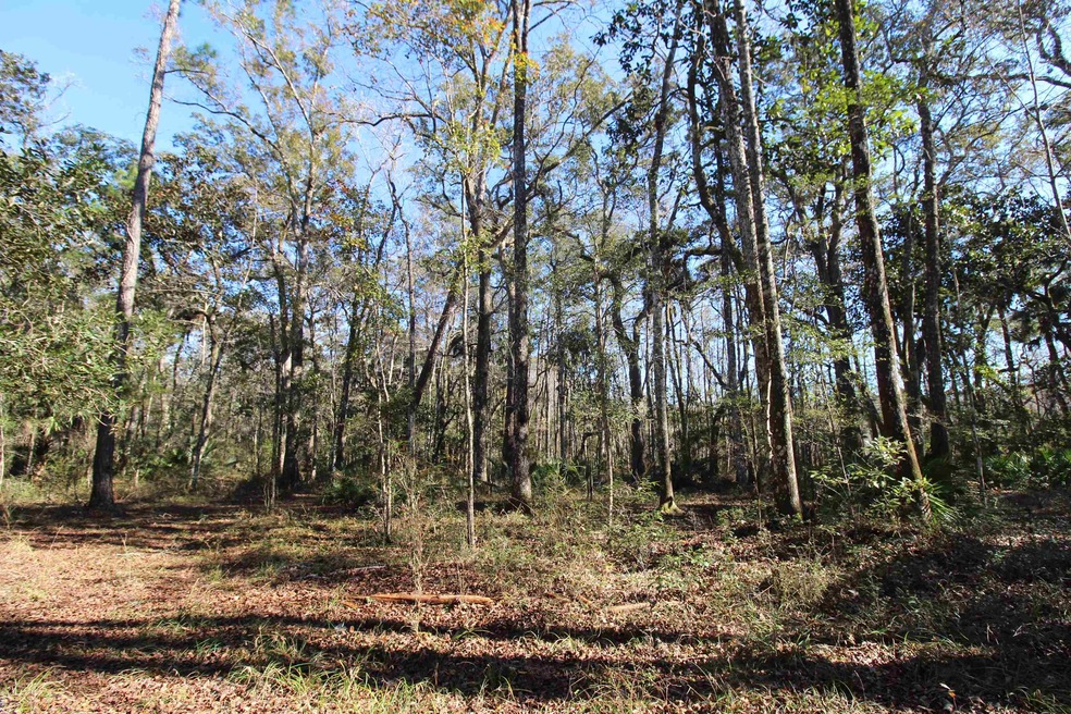 xx Keerns Dr, Crawfordville, FL 32327 - photo 1