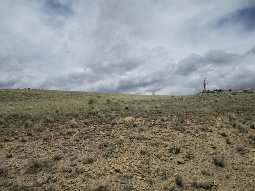 129 Ouray Trail, Como, CO 80432 - photo 1