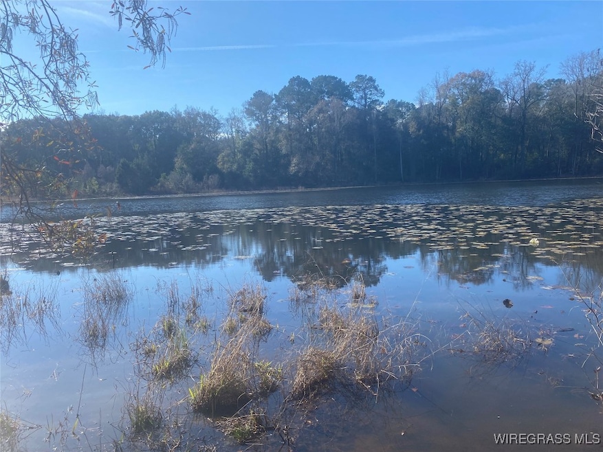 805 Lessie Culpepper Rd, Coffee Springs, AL 36318 - photo 1