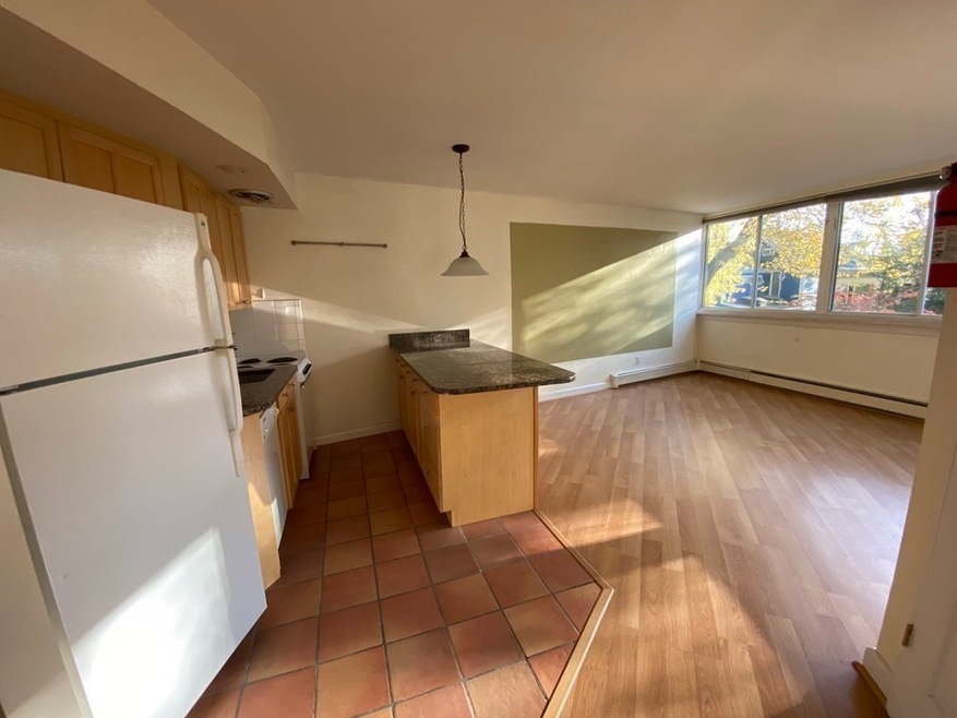 516 Green St unit 2B, Cambridge, MA 02139 - photo 1