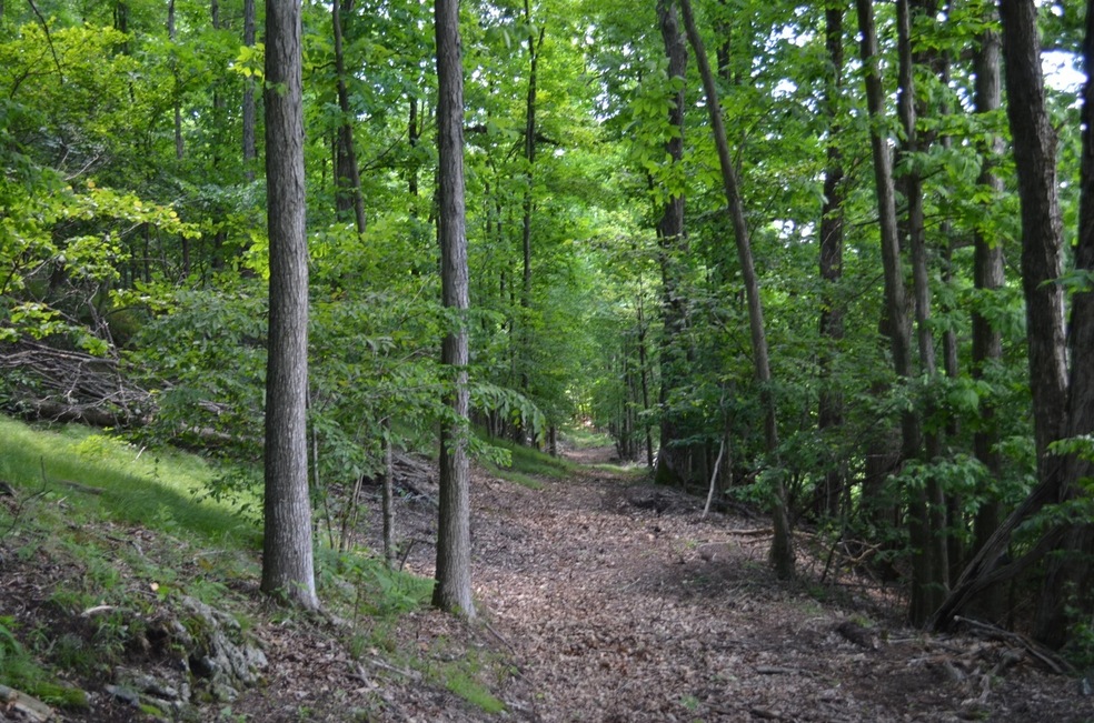 unlisted-address, Egremont, MA 12529 - photo 1