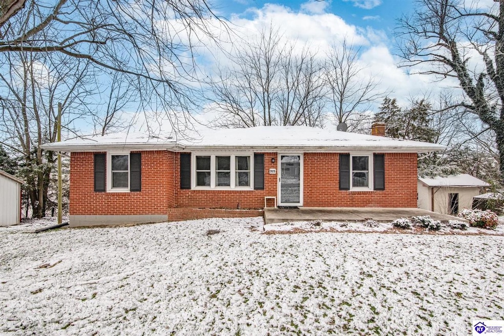 315 Greensburg Rd, Hodgenville, KY 42748 - photo 1