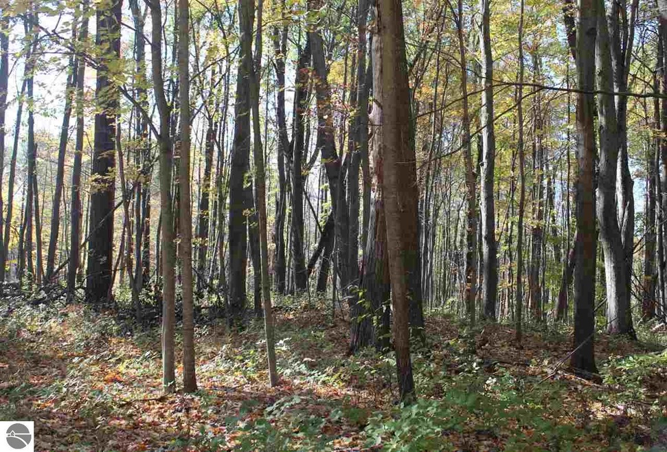 132 W Ridge Cir, Le Roy, MI 49655 - photo 1