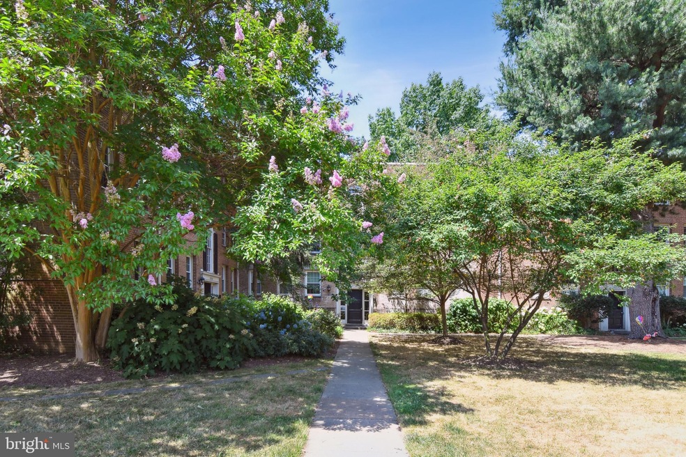 2722 Ordway St NW unit 2, Washington, DC 20008 - photo 1