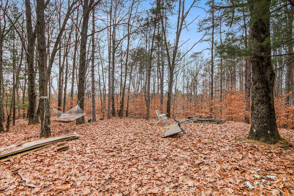 3205 E 14 Mile Rd, Bitely, MI 49309 - photo 1