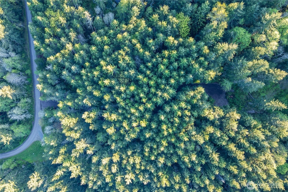 0 Discovery Ridge Rd unit NWM2364795, Port Townsend, WA 98368 - photo 1