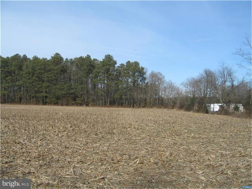 1399 Flat Iron Rd, Harrington, DE 19952 - photo 1