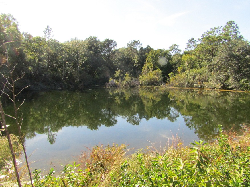 1038 Valley Rd, Crestview, FL 32539 - photo 1