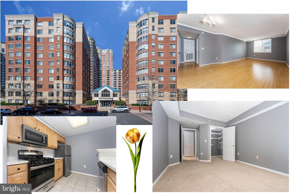 3835 9th St N unit 1002W, Arlington, VA 22203 - photo 1