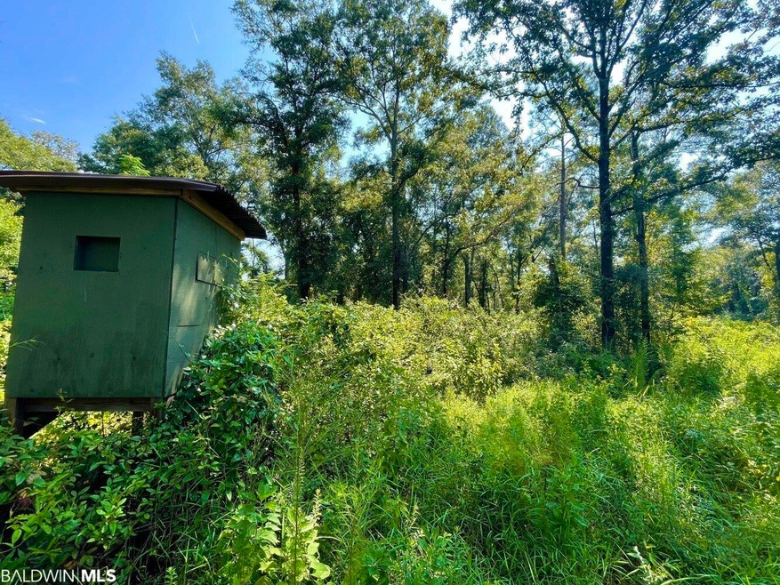 0 Albert Evans Rd unit 335684, Wilmer, AL 36587 - photo 1