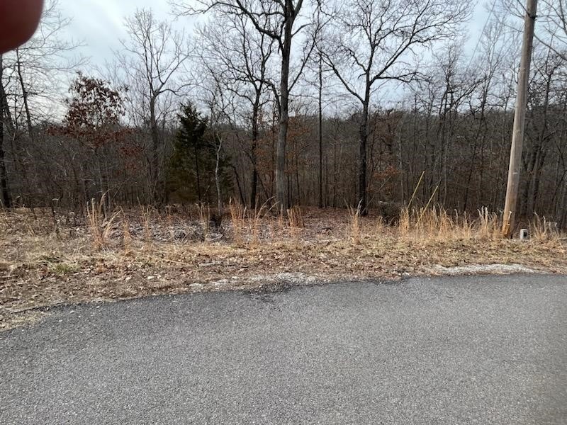 2 Ipswich Cir, Bella Vista, AR 72714 - photo 1