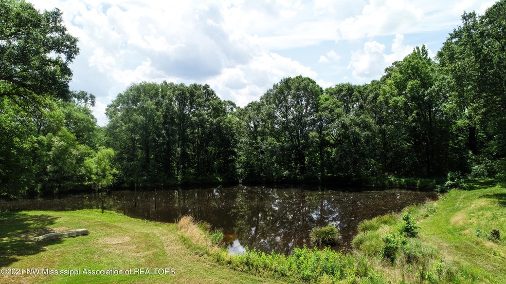 Pond