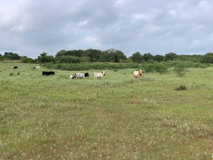 1119 Old Adams Ln, Pleasanton, TX 78064 - photo 1