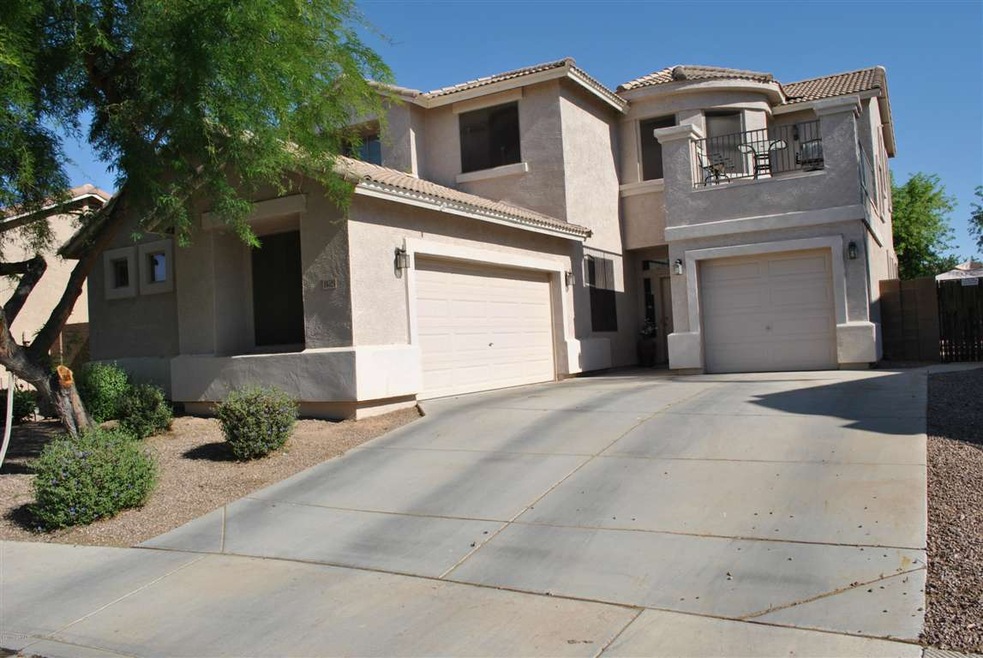 16524 Saguaro 001
