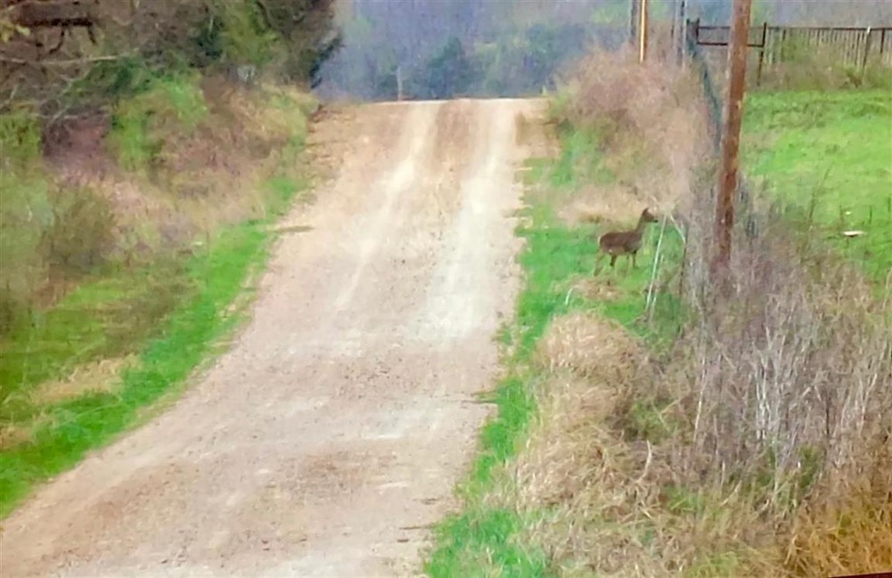 0000 E Kirk St, Hugo, OK 74743 - photo 1