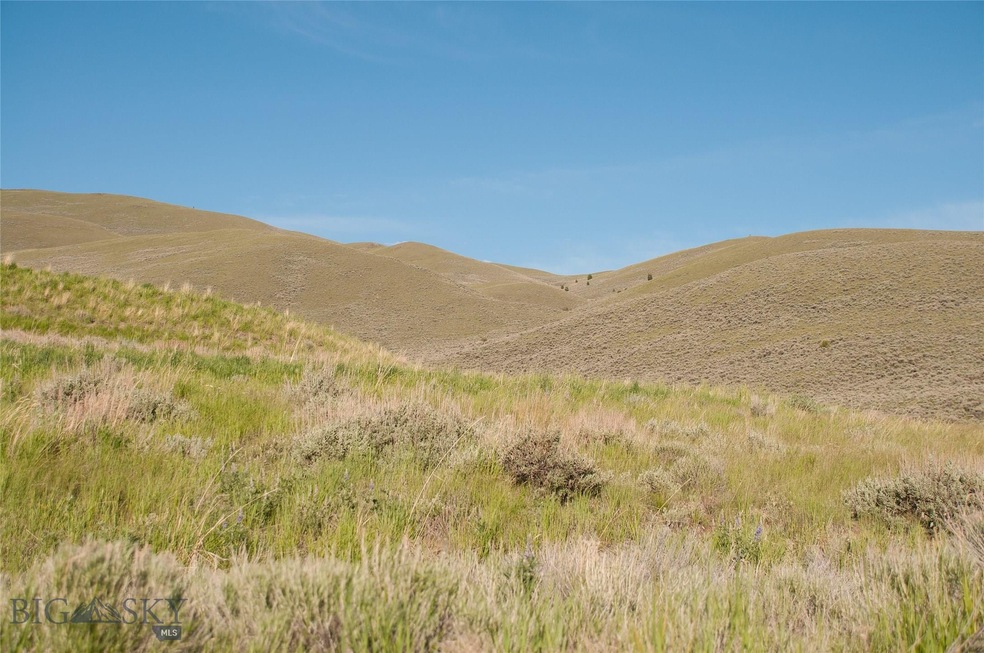 Lot 12, Miracle Mountain - Polaris, Montana