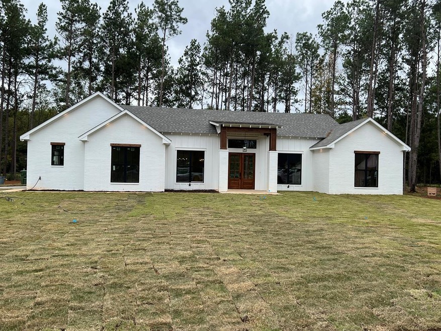 Main View