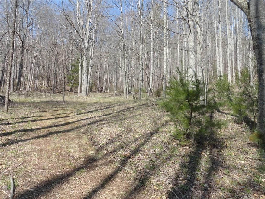 1395 Bald Mountain Rd, Burnsville, NC 28714 - photo 1