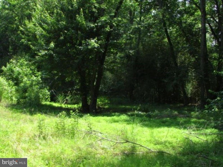 163 Sassi Rd, Penns Grove, NJ 08069 - photo 1