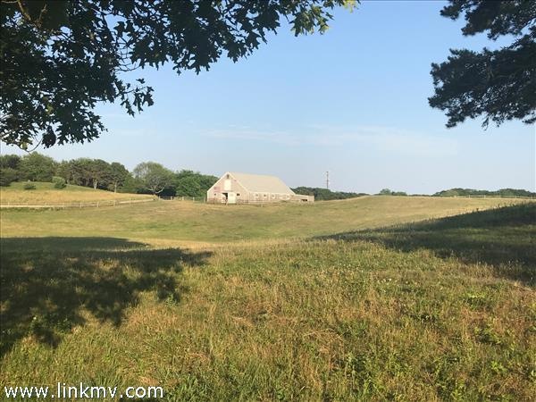 Approach to Sweetened Water Farm