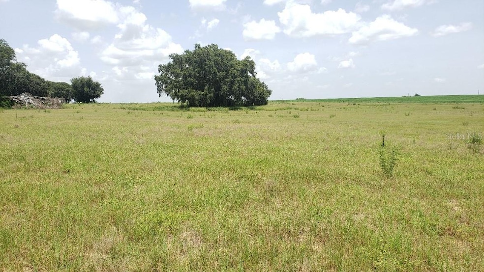 unlisted-address, Thonotosassa, FL 33592 - photo 1