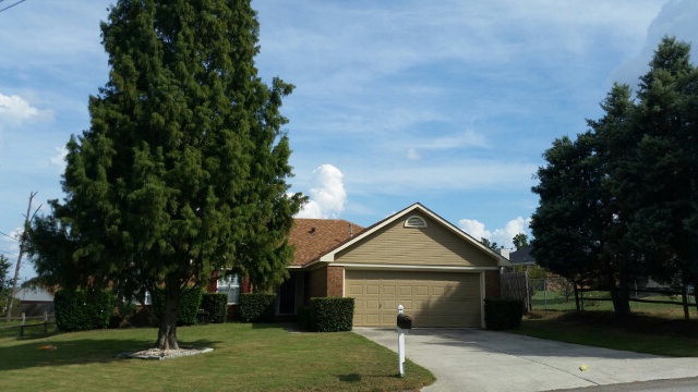 Main View