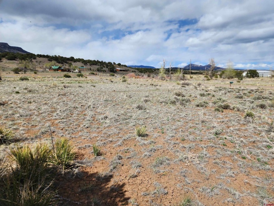 1289 Mohee Rd, South Fork, CO 81154 - photo 1
