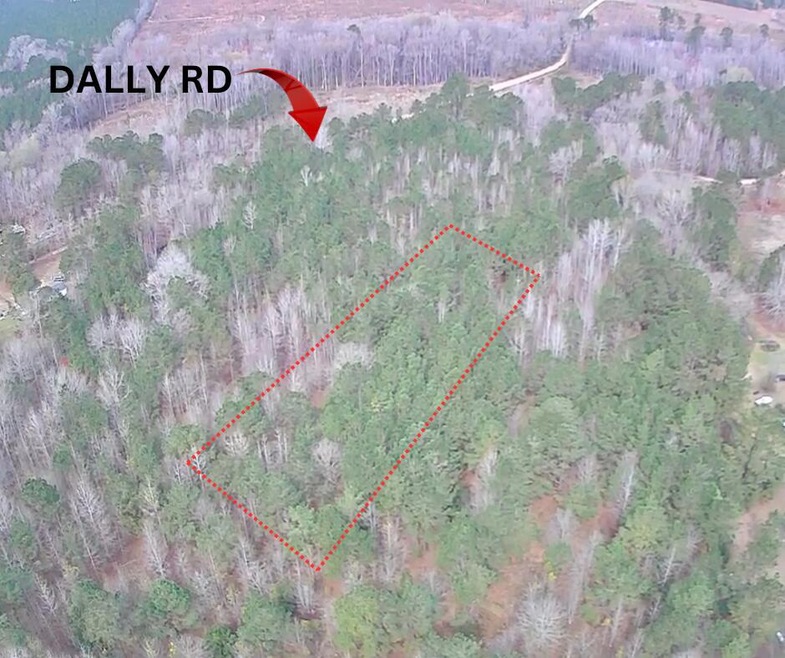 DALLY RD