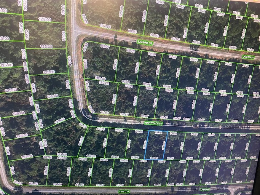 7385 Happyface St, Sebring, FL 33872 - photo 1