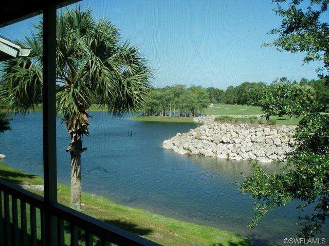 Tranquil views