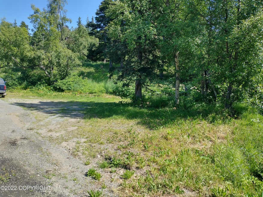 IMG_20220705_165304044_HDR