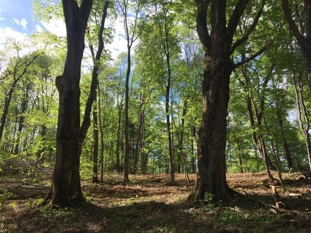 1234 Pine Ridge Rd, Somerset, KY 42501 - photo 1