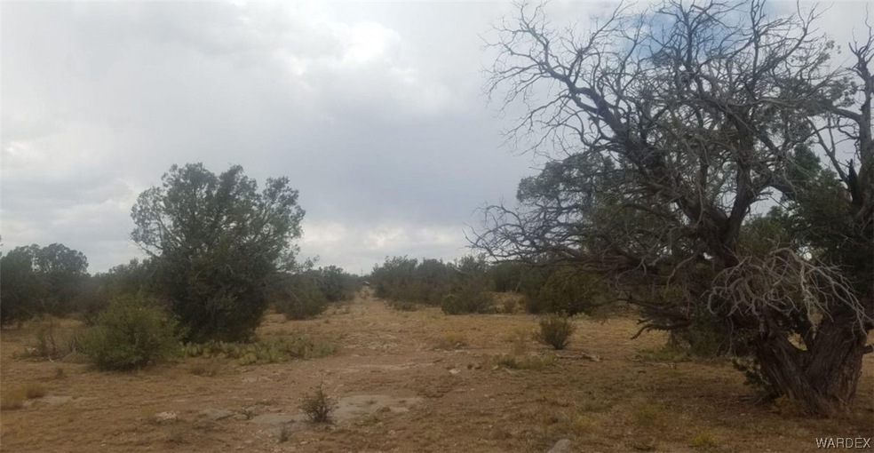 0 Peach Springs unit 9530, Peach Springs, AZ 86434 - photo 1