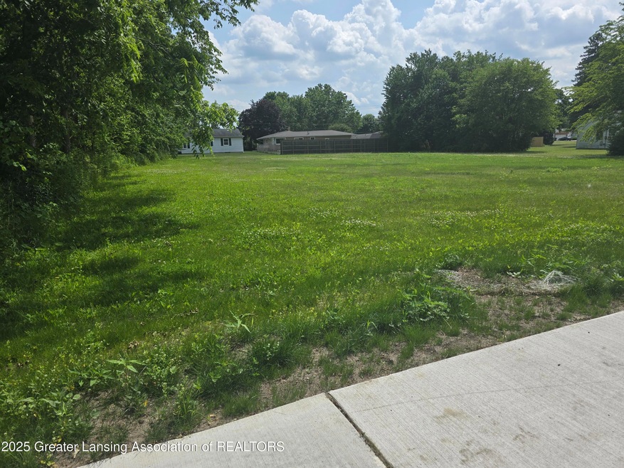 unlisted-address, Lansing, MI 48917 - photo 1