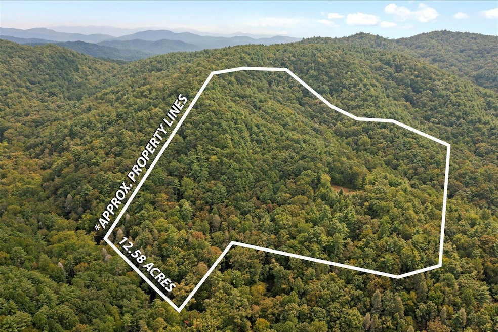 0 Grassy Mountain Rd unit 1521379, Chatsworth, GA 30705 - photo 1