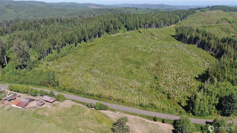 0 Butte Creek Rd, Raymond, WA 98577 - photo 1