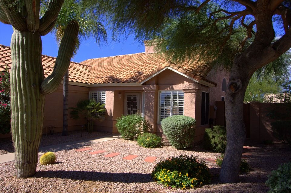 front_yard_3364
