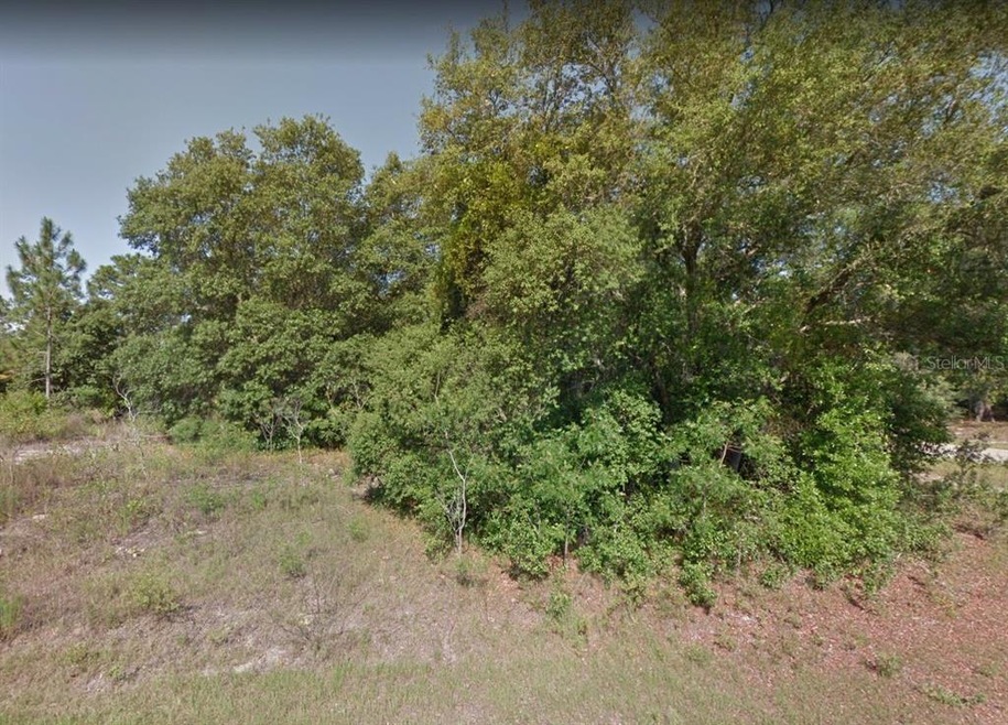 8668 N Spartan Dr, Citrus Springs, FL 34433 - photo 1