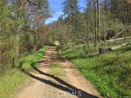 The lot is on the right and fronts the road but now has been partially cleared.
No drive by traffic here.