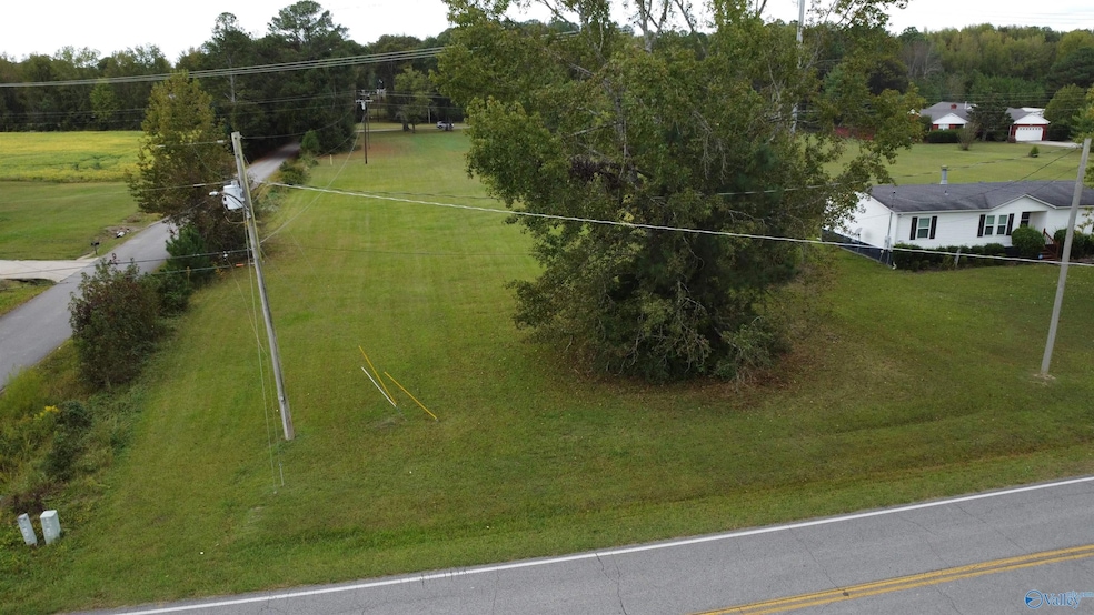 1.24 Looney Rd, Athens, AL 35613 - photo 1