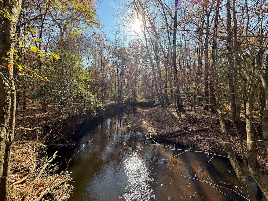 0 State Road S-28-87, Bethune, SC 29009 - photo 1
