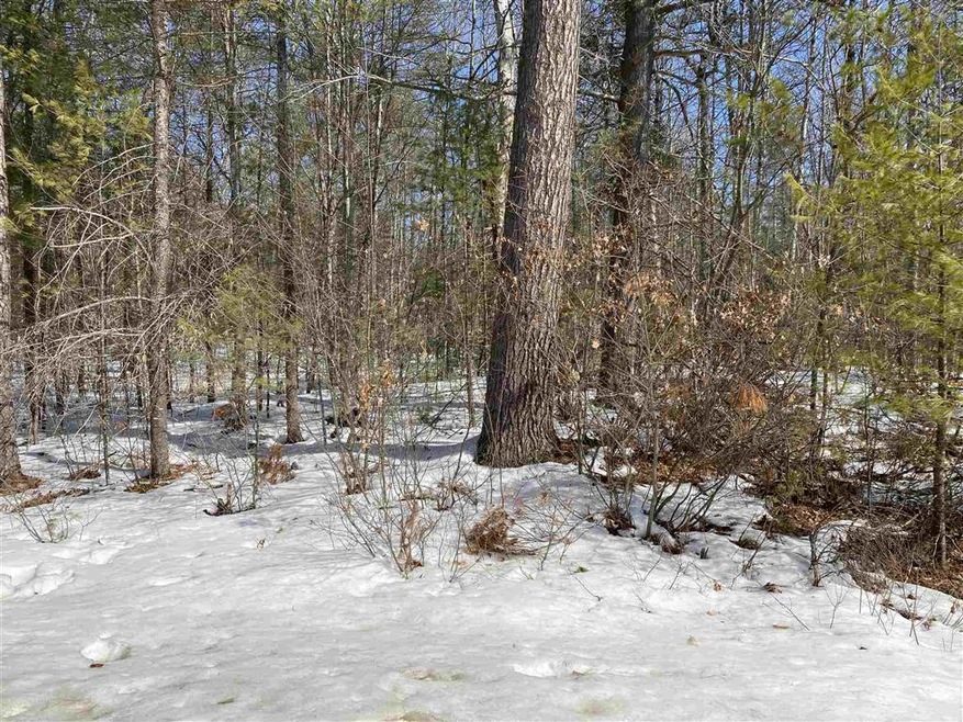 0 Old Stagecoach Rd unit 47 4850722, Freedom, NH 03836 - photo 1