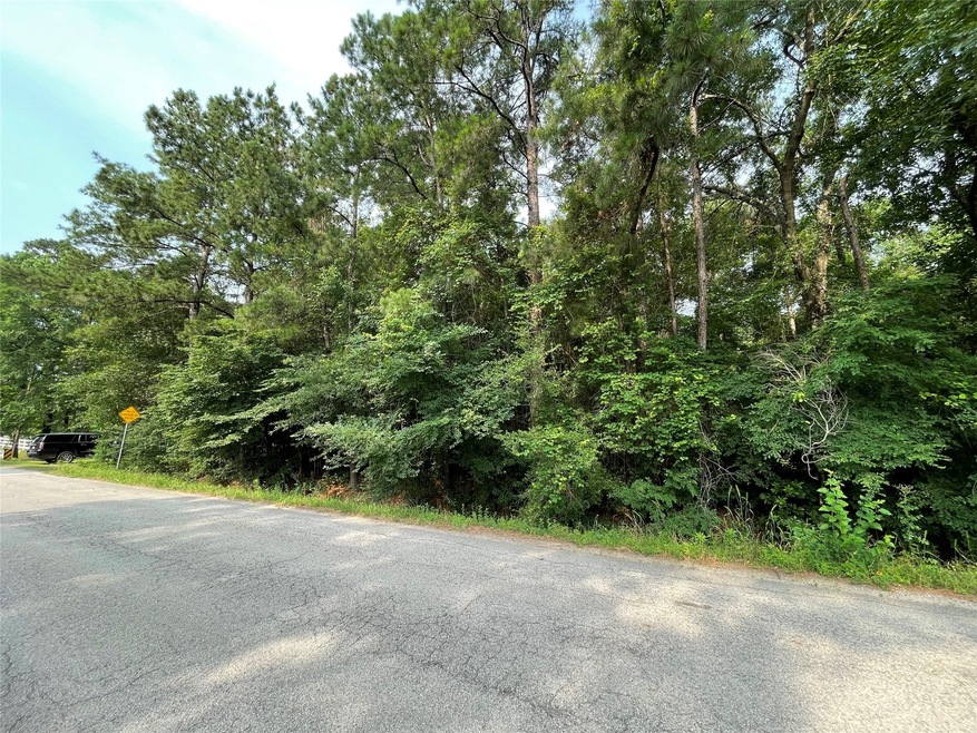 0 Lexington Dr, Conroe, TX 77385 - photo 1