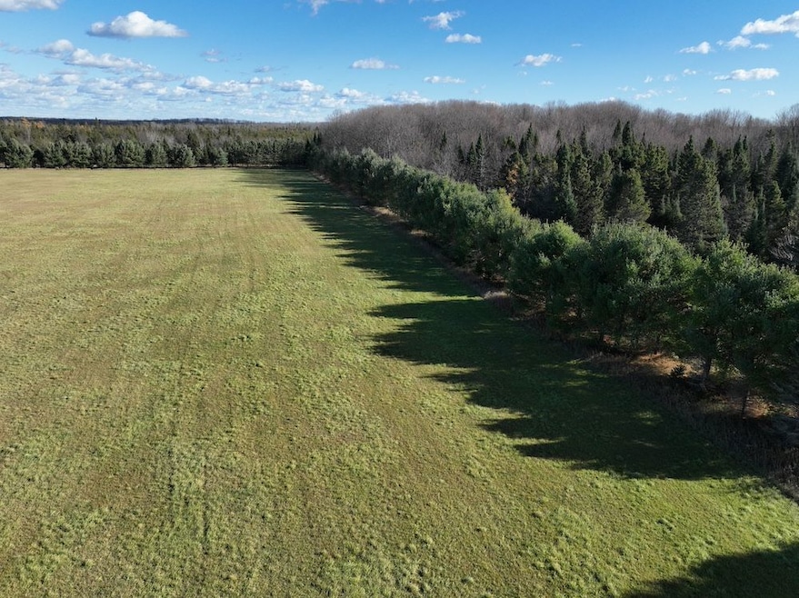 Eben-Trenary Road Lot unit WP001, Trenary, MI 49891 - photo 1