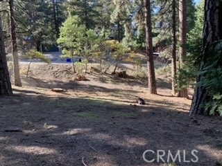 Sold $17,500 • Co-Listing Agent