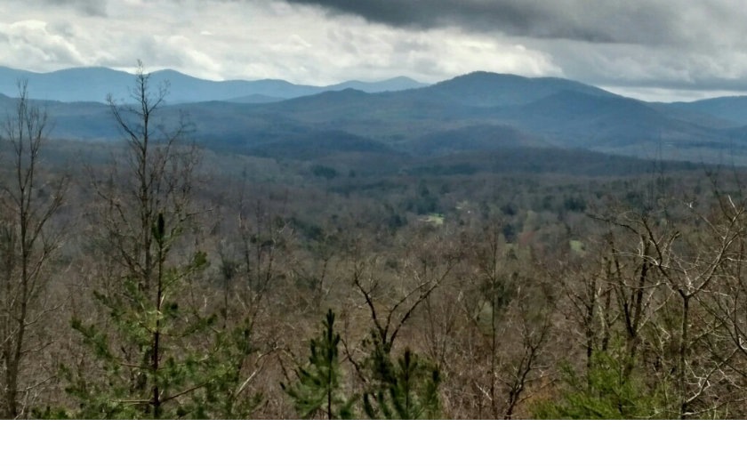 Main View