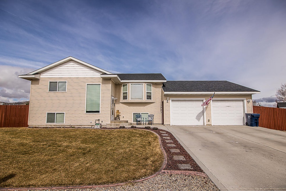 1037CardinalLoop-1